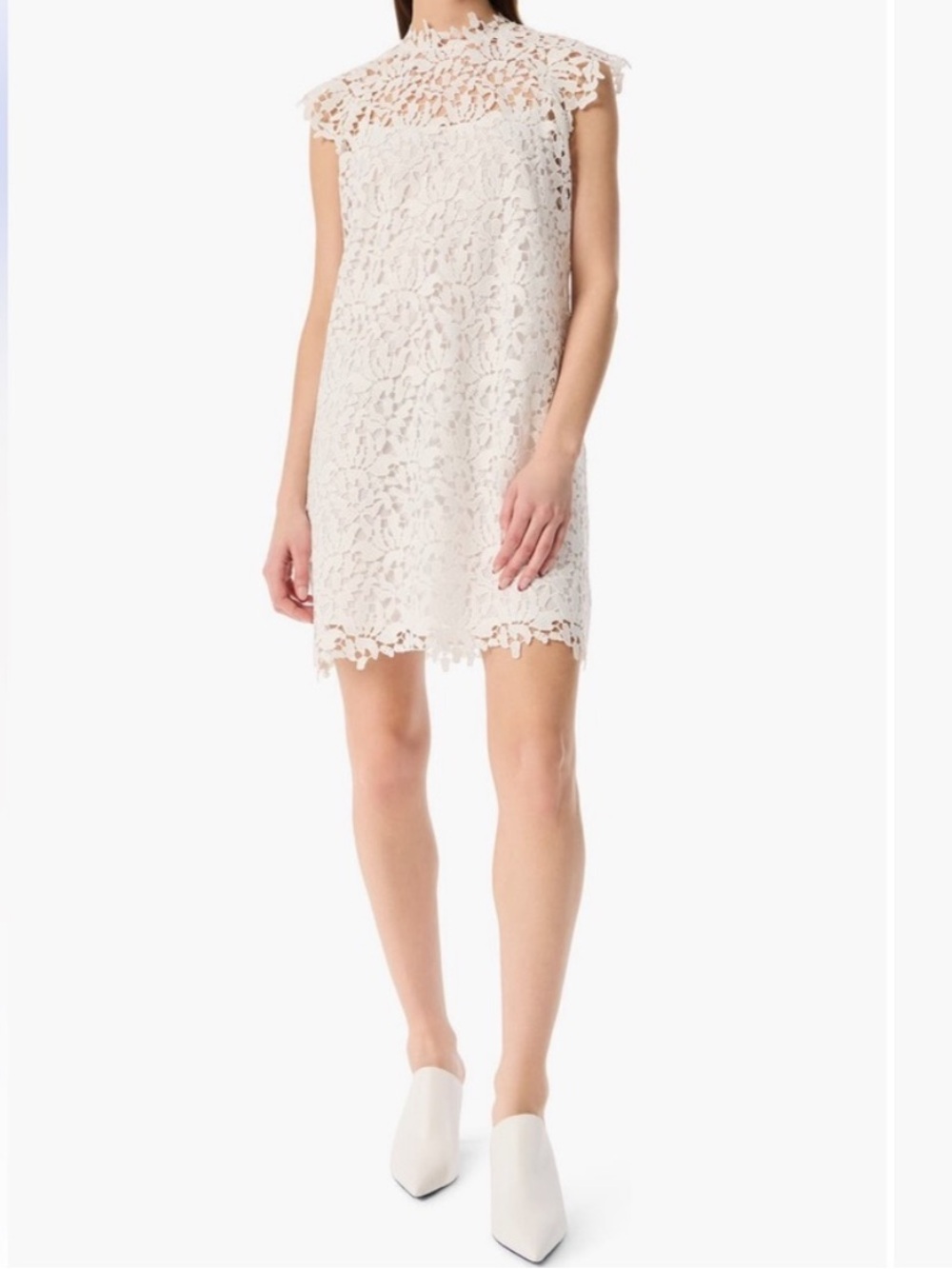 Robert Rodriguez Marielle Lace Shift Dress